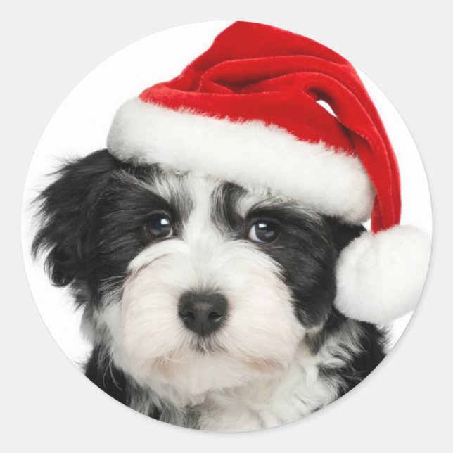 Santa Puppy Round Sticker (Front)
