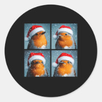 Santa Robin Redbreast Winter Bird Photography Chri