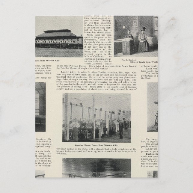 Santa Rosa, California Postcard (Front)