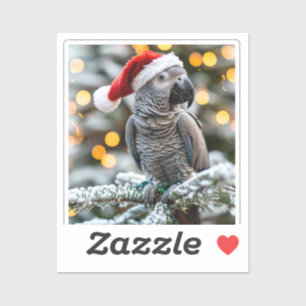 Santa’s Little African Grey Helper 