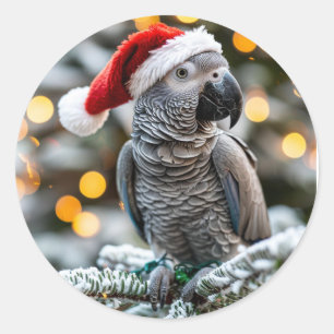 Santa’s Little African Grey Helper Classic Round Sticker