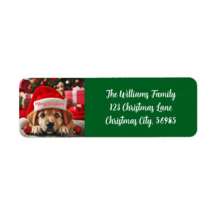 Santa’s Little Helper Puppy