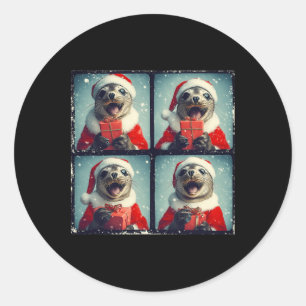 Santa Seal Ocean Animal Photography Sea Lion Chris