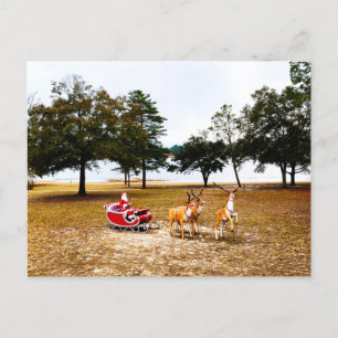 Santa Sleigh And Reindeer Postcard