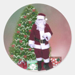 Santa Snow Globe Sticker