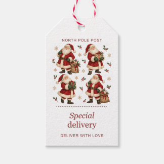 Santa Special Delivery Gift Tags