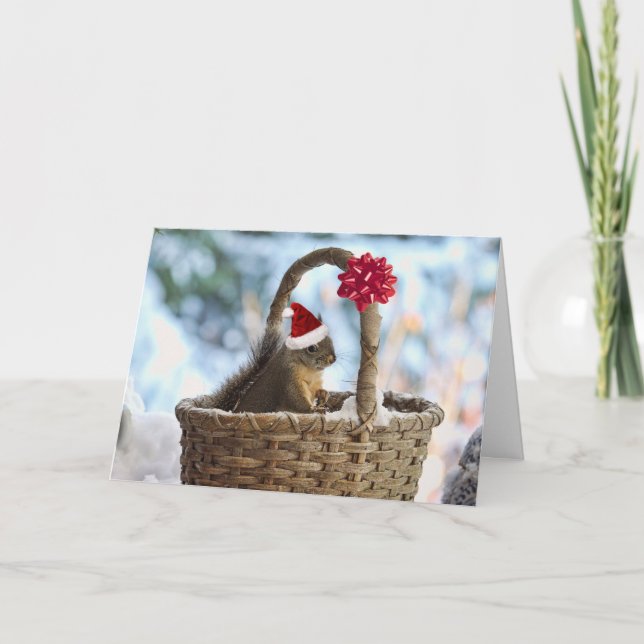 Santa Squirrel in Snow Holiday Card (Front)