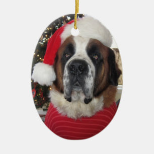Santa St. Bernard Oval Christmas Ornament