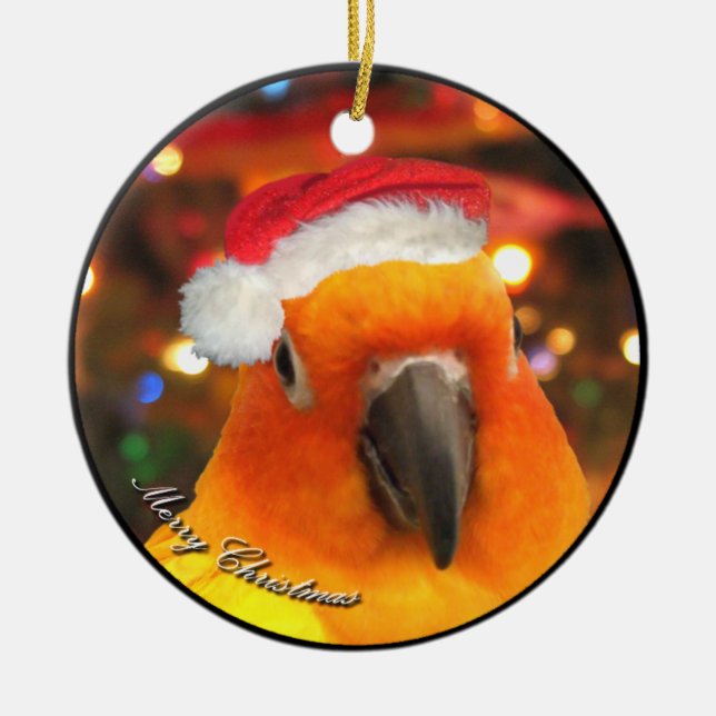 Santa Sun Conure Christmas Ornament (Front)