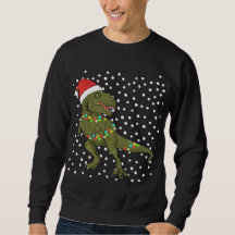 Santa T-Rex Dinosaur Christmas Xmas Jumper sweater