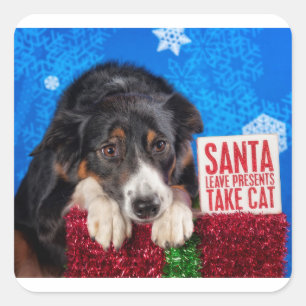 Santa take cat square sticker