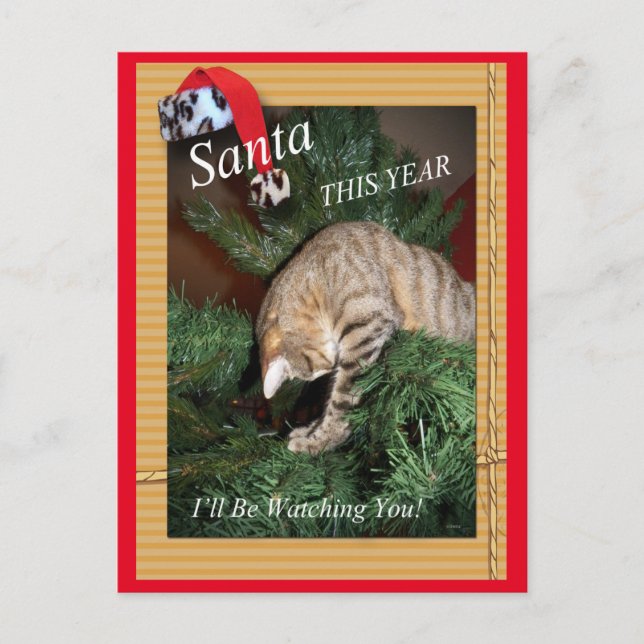 Santa The Cat Will Be Watching You Postcard (Front)
