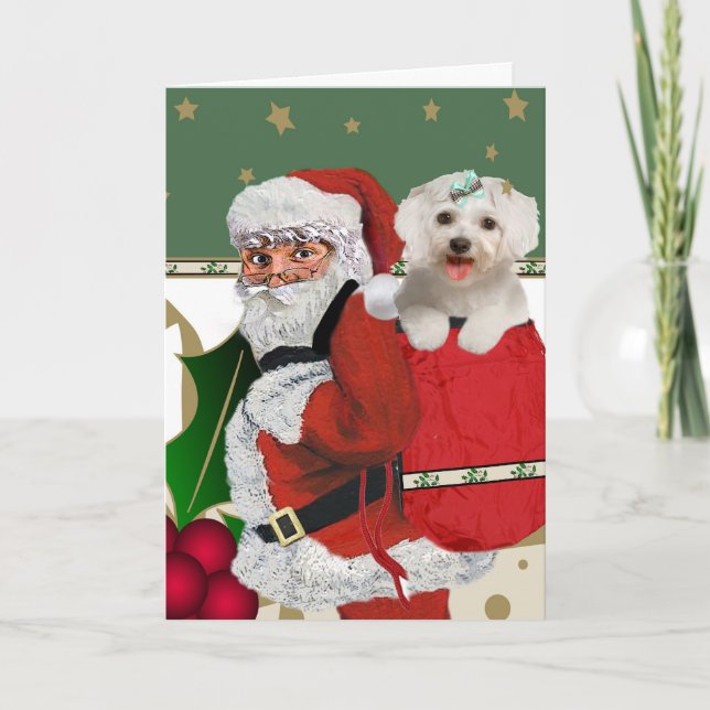Santa With Maltese in his bag Holiday Card (Front)