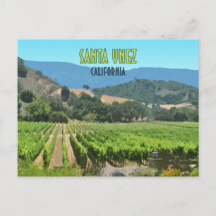 Santa Ynez California Vineyard Vintage Postcard