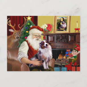 Santa's Australian Shepherd (merle) Holiday Postcard