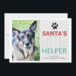 Santa's Helper- Pet Photo Holiday Flat Cards<br><div class="desc">These are festive and perfect for this holiday season!</div>