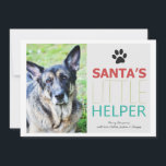 Santa's Helper- Pet Photo Holiday Flat Cards<br><div class="desc">These are festive and perfect for this holiday season!</div>