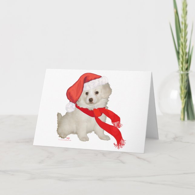Santa's Helper Puppy Poodle / Bichon Mix Holiday Card (Front)
