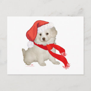 Santa's Helper Puppy Poodle / Bichon Mix Holiday Postcard