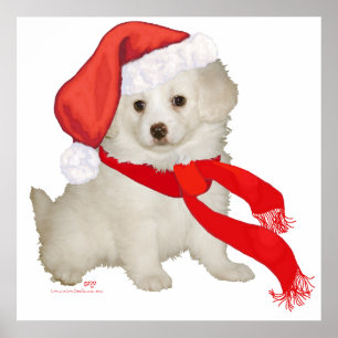 Santa's Helper Puppy Poodle / Bichon Mix Poster