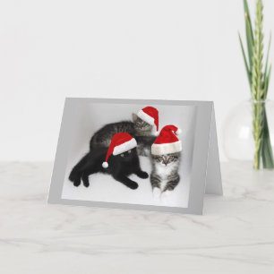 Santa's Kitten Helpers Christmas Card