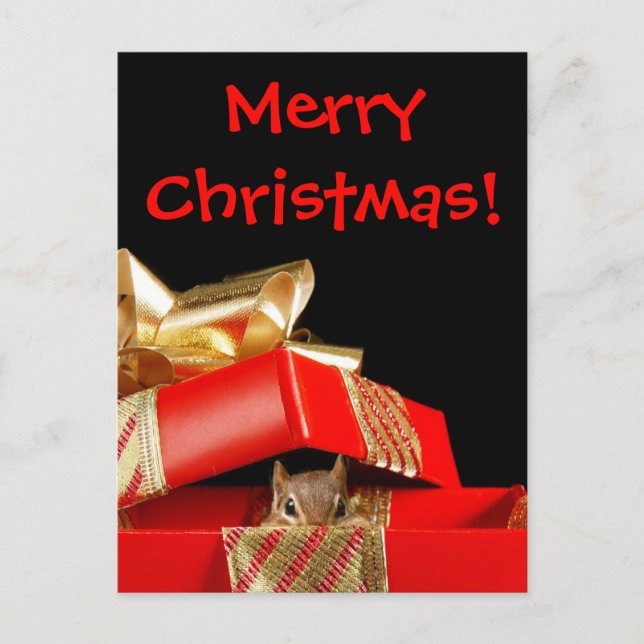 Santa's Little Helper Chipmunk Holiday Postcard (Front)