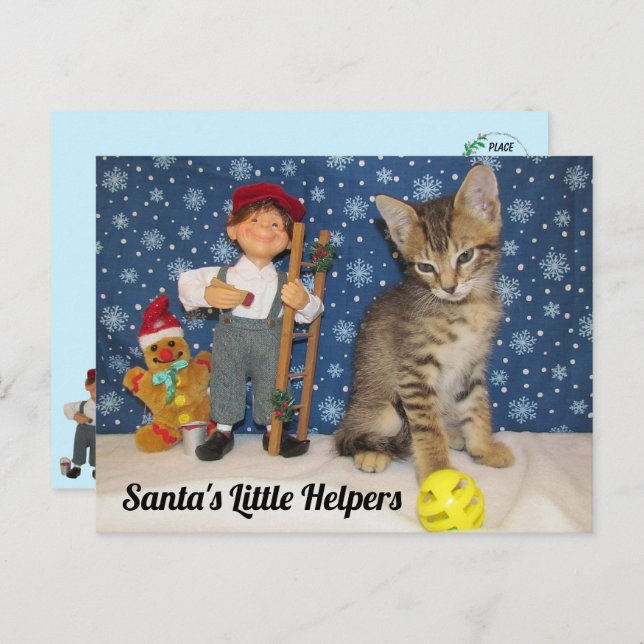 Santa's Little Helpers - Cat & Elf Postcard (Front/Back)
