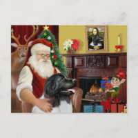 Santa's Newfoundland Landseer