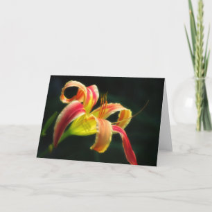 Santa's Pants Daylily Holiday Card