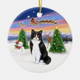 Santas Take Off - Black and White cat (ASH) Ceramic Tree Decoration