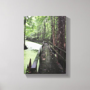 santee coastal reserve canvas print