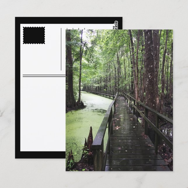 santee coastal reserve postcard (Front/Back)