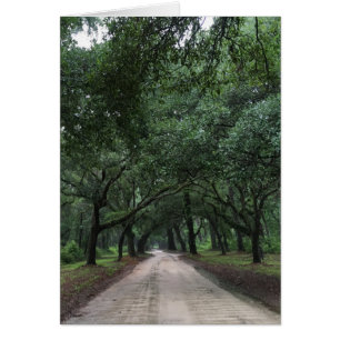 santee road