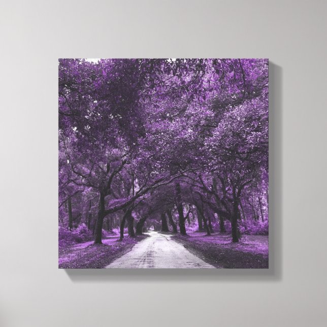 santee road canvas print (Front)