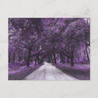 santee road postcard