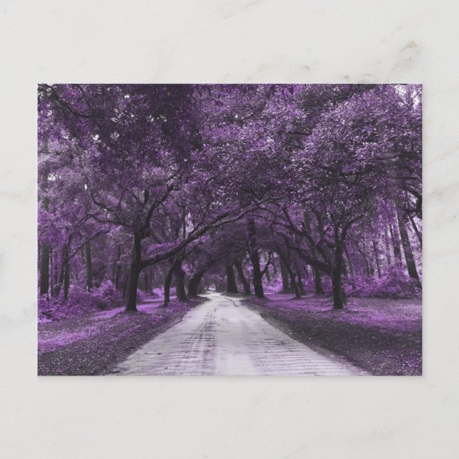 santee road postcard (Front)