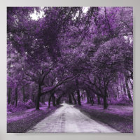 santee road poster