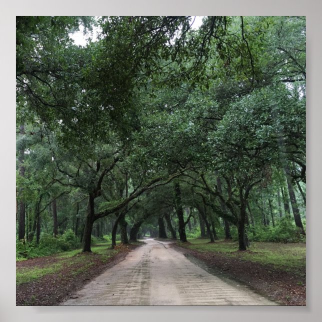 santee road poster (Front)