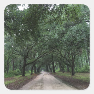 santee road square sticker