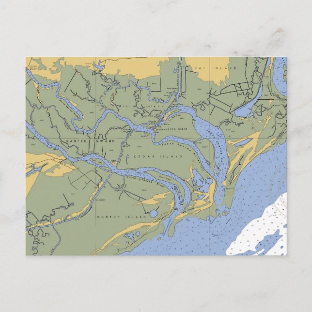 Santee swamp, SC Nautical Chart Postcard (Front)