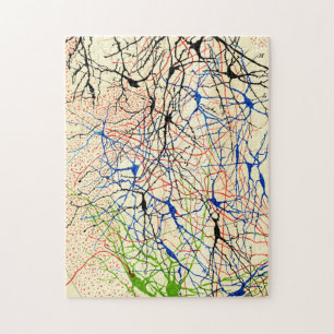 Santiago Ramón Y Cajal Nerve Cells Jigsaw Puzzle