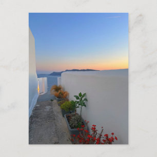 Santorini Greece Street Plants Sunset  Postcard