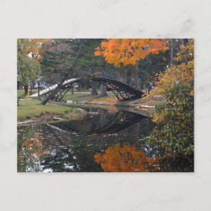 SANY4603 Fall Foliage Postcard