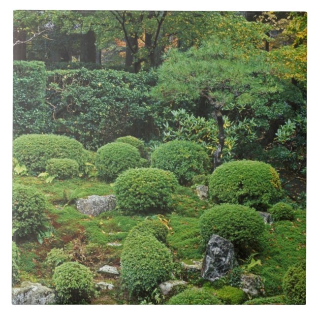 Sanzen-in Temple, Ohara, Kyoto, Japan 3 Tile (Front)