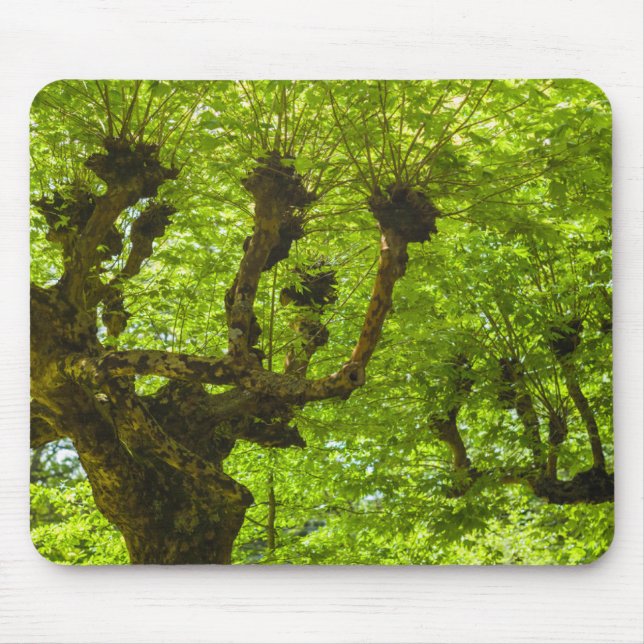 Sao Miguel Island Mouse Pad (Front)
