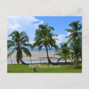 Sao Paulo, Brazil palm trees Postcard