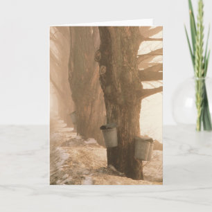 SAP BUCKETS GREETING CARDS