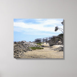 Sapelo Island Beach Canvas Print