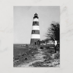Sapelo Island Lighthouse Postcard