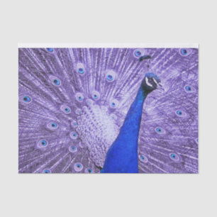 Sapphire Blue And Lavender Purple Peacock Tissue Paper